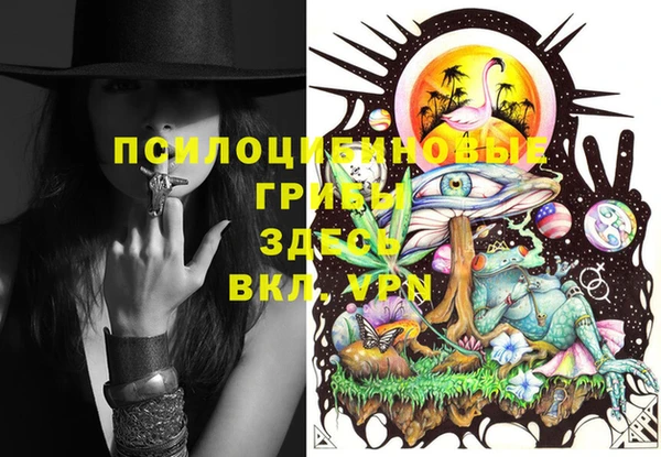 прущая мука Ладушкин