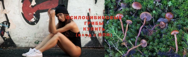 прущая мука Ладушкин