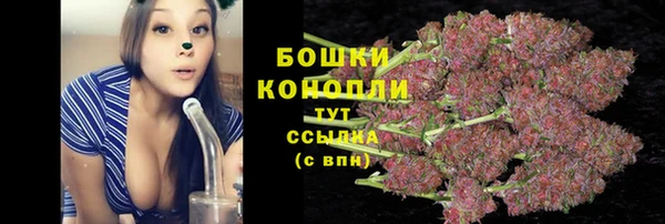 амф Лабытнанги