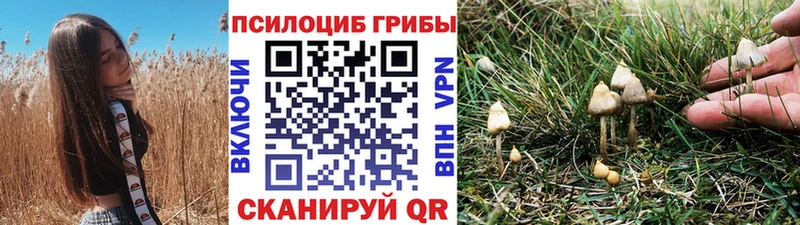 Галлюциногенные грибы ЛСД  Сычёвка 